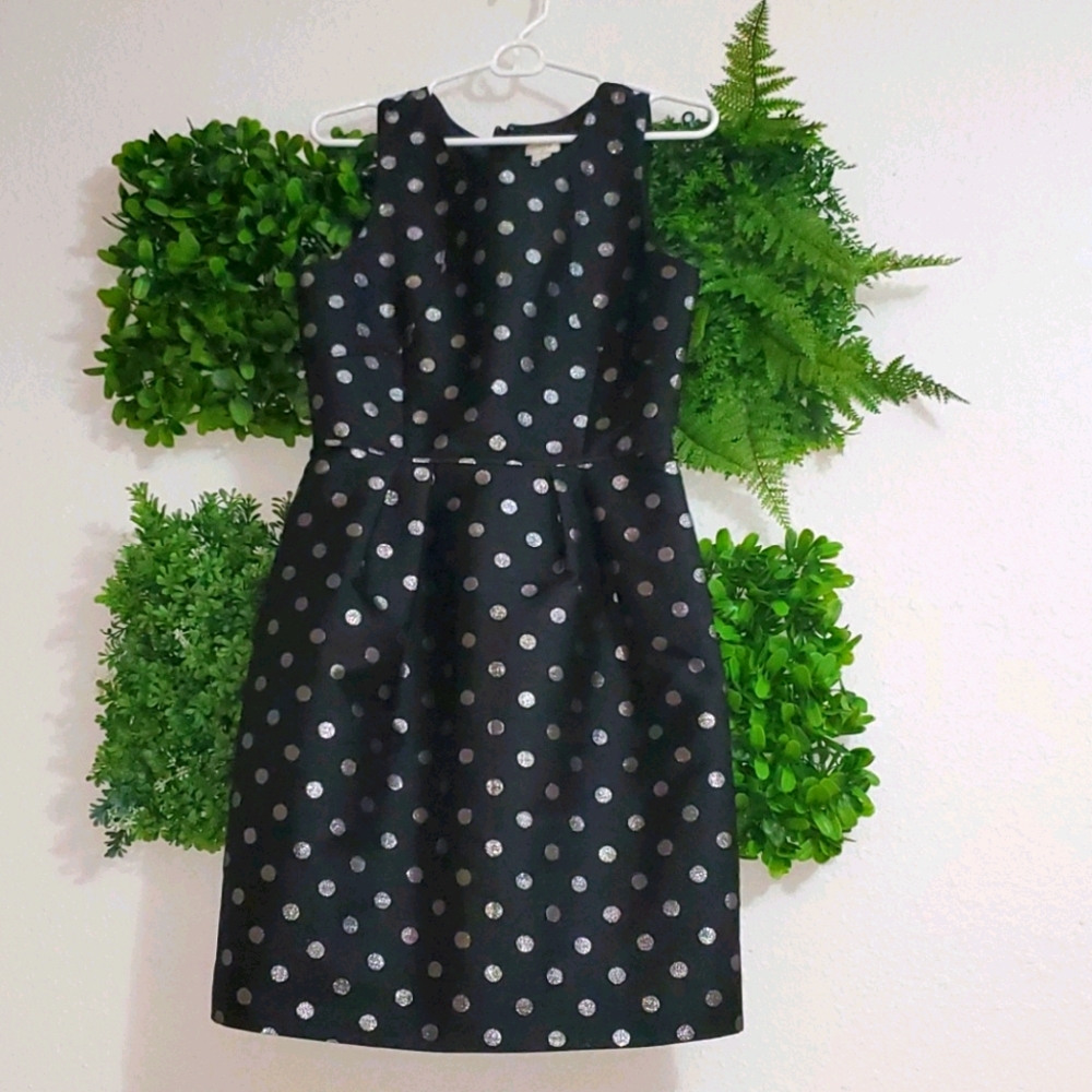 Polka-dot Dress by J. CREW never worn